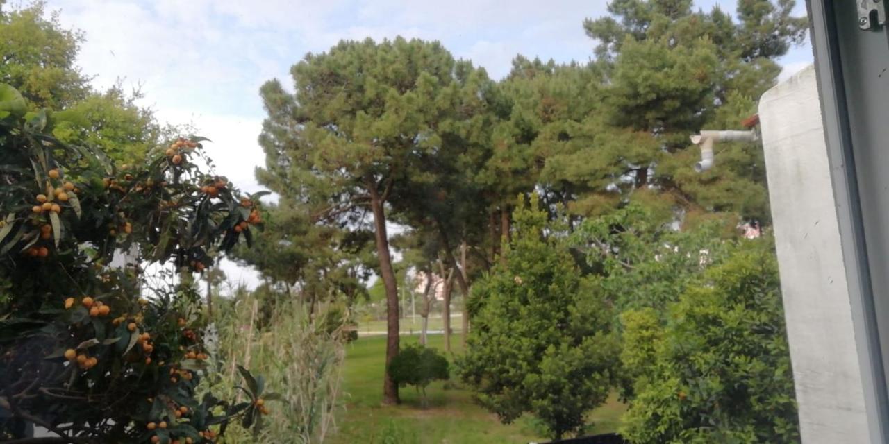 Guesthouse Marialva Park Corroios Exteriér fotografie